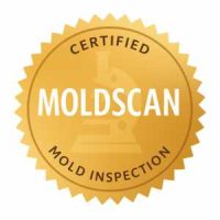 MOLDSCAN MOLDSCAN