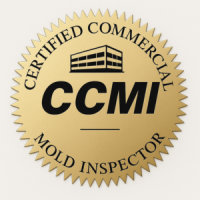mold inspection certificate mold inspection certificate