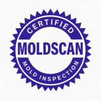 Untitled design Moldrix